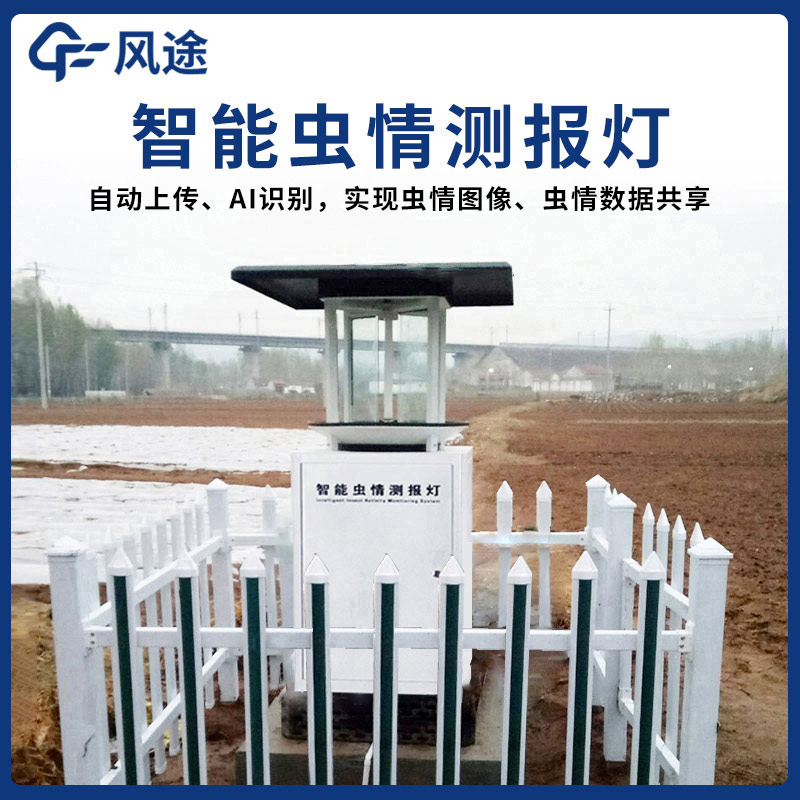 一只蟲子眼中的 “致命陷阱”—— 蟲情測報(bào)燈